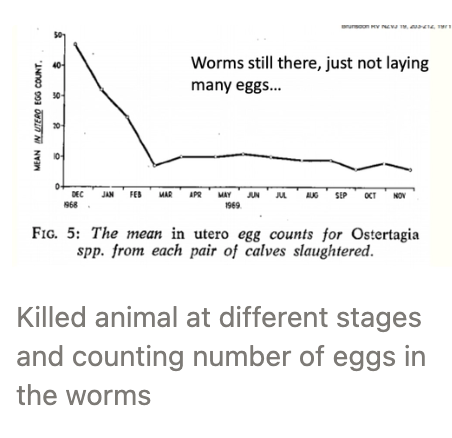 <p>Begin consuming larvae when eating pasture (2w for lambs)</p><ul><li><p>Immune response begins to develop at 6 - 12m → Full adult immunity at 18m</p></li><li><p><u>Cattle:</u> Immune response reduces female worm fecundity (esp. <em>Ostertagia</em>) → <mark data-color="yellow" style="background-color: yellow; color: inherit;">Poor relationship between parasite burden and FEC in calves ≥6m</mark></p><ul><li><p>Cattle faeces is more liquid → Dilution effect</p></li><li><p>Adult cattle do NOT contribute to pasture contamination (no PPR)</p></li></ul></li></ul><p></p>