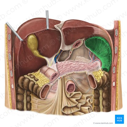 <p>What is this?</p>