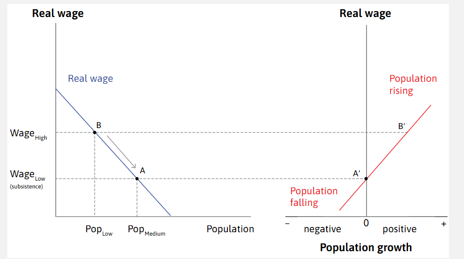 <p>-Note that the <em>equilibrium </em>occurs when the growth rate of the population is <em>neutral</em> which occurs on the right-hand graph</p>