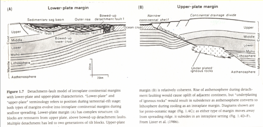 <p>Separates continental lithosphere into upper and lower plate, dip at low angle. Upper crustal rocks (hanging wall) are thick, thinly covered, and sedimentary, lower crustal rocks (footwall) are thin, thickly covered, and metamorphically deformed</p>