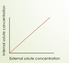 <p>lets water flow freely in and out of its body </p><p>Internal osmolarity = external osmolarity</p><p></p>