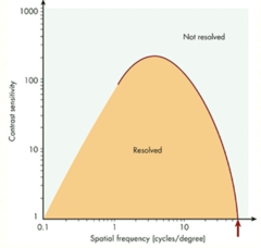 <p>specific range of frequencies that our visual system either pass or reject a certain frequency (allows range of frequencies to pass through)</p>