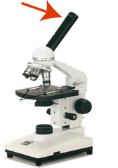 <p>Eyepiece which contains a lens to magnify an image 10x that projected by the objective lens.</p>