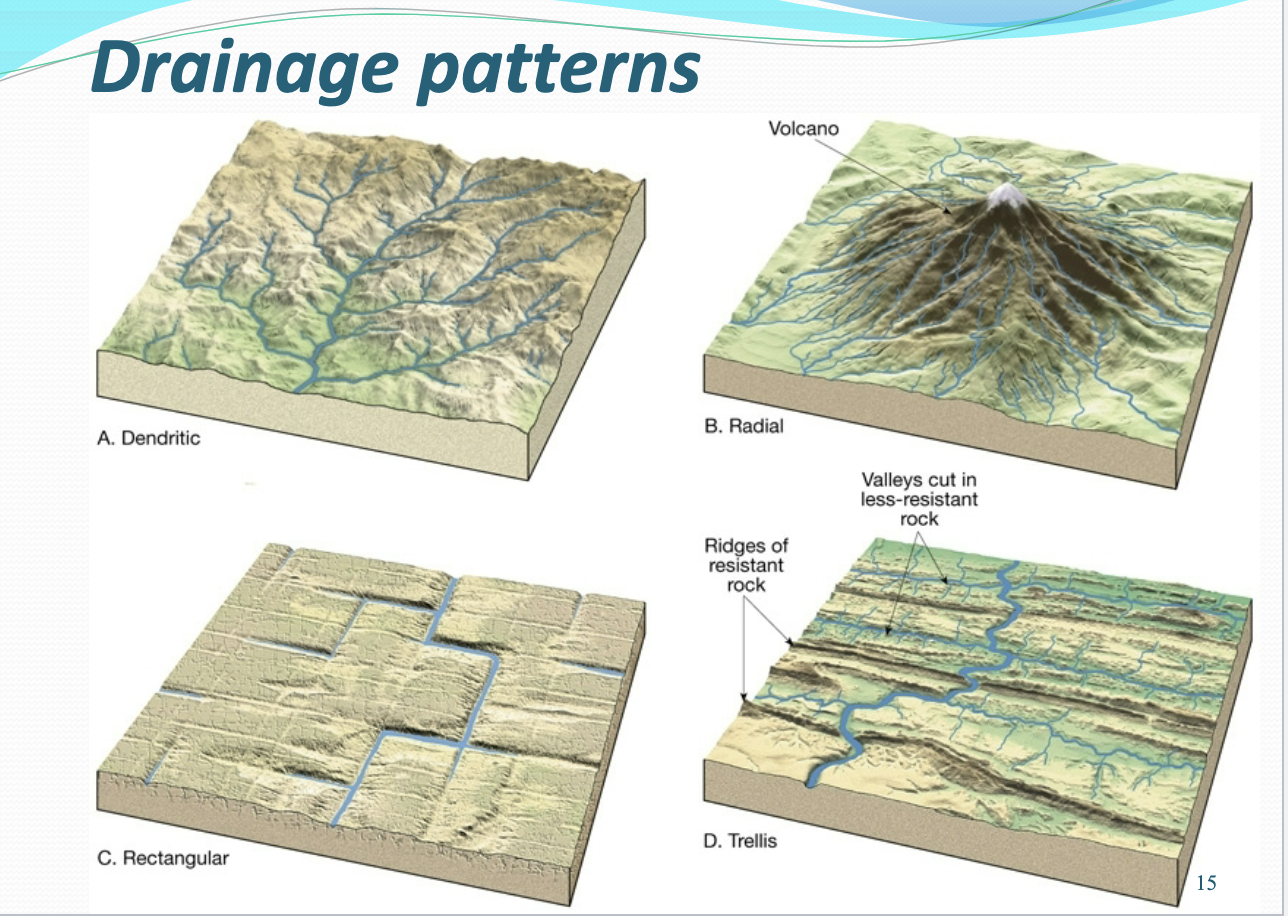 <p><span style="background-color: transparent;">Dendritic - many tributaries connecting to a mainstream channel; resembles a tree; typical of flatter areas with softer material (easily eroded in any direction)</span></p><p><span style="background-color: transparent;">Radial - streams originate from one central location; typical of mountain or volcano tops</span></p><p><span style="background-color: transparent;">Rectangular - streams that meet at near right angles; typical of highly fractured rock areas</span></p><p><span style="background-color: transparent;">Trellis - tributaries that form parallel to one another; typical of areas confined by mountain ranges or ridges (streams are in the valleys)&nbsp;</span></p>