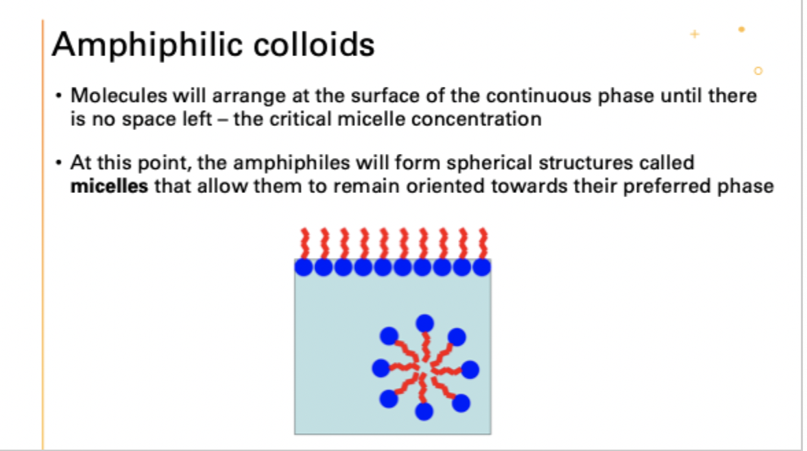 <p>amphiphiles form micelles</p>