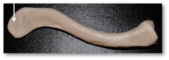 <p>identify the structure</p>