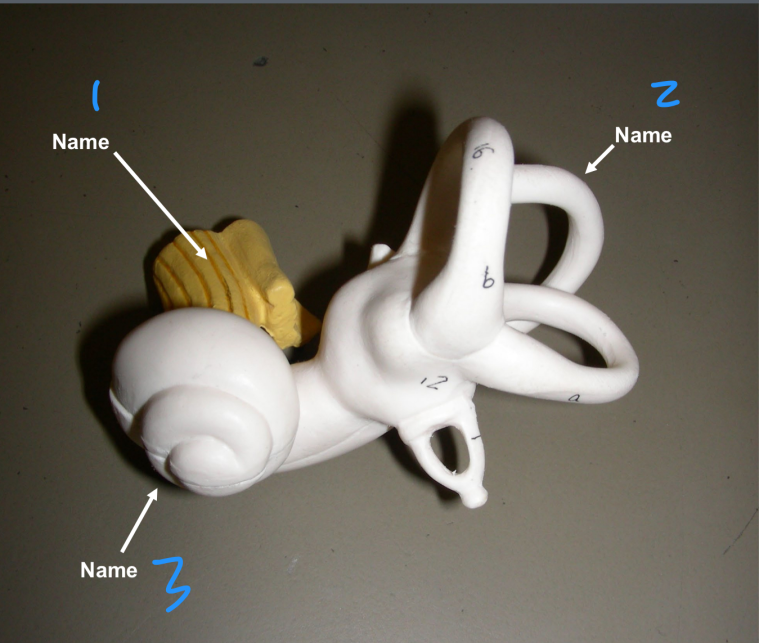 <p>1</p>