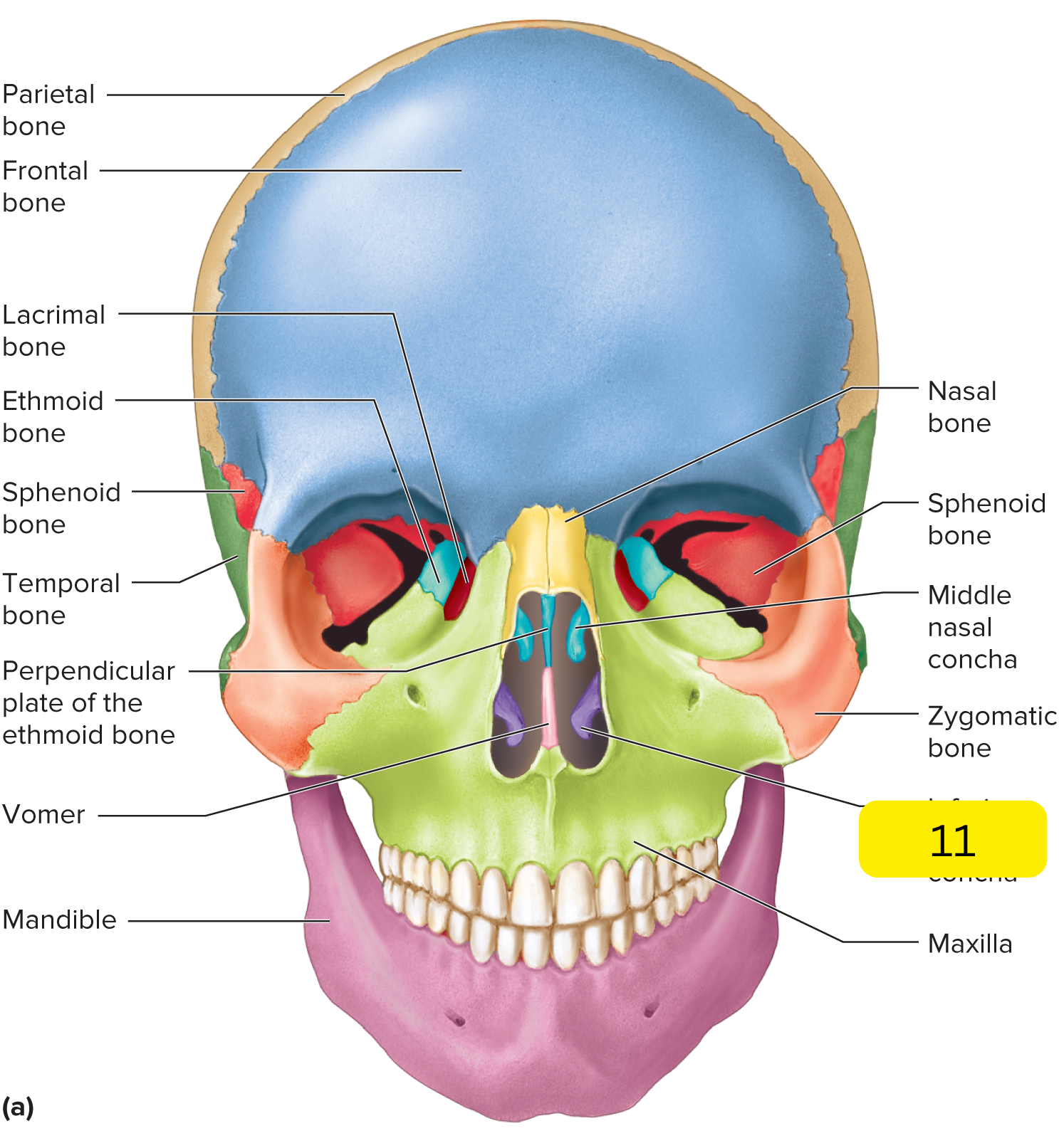 <p>What’s #11?</p>