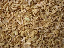 <p>Husks/ Chaff (n)</p>