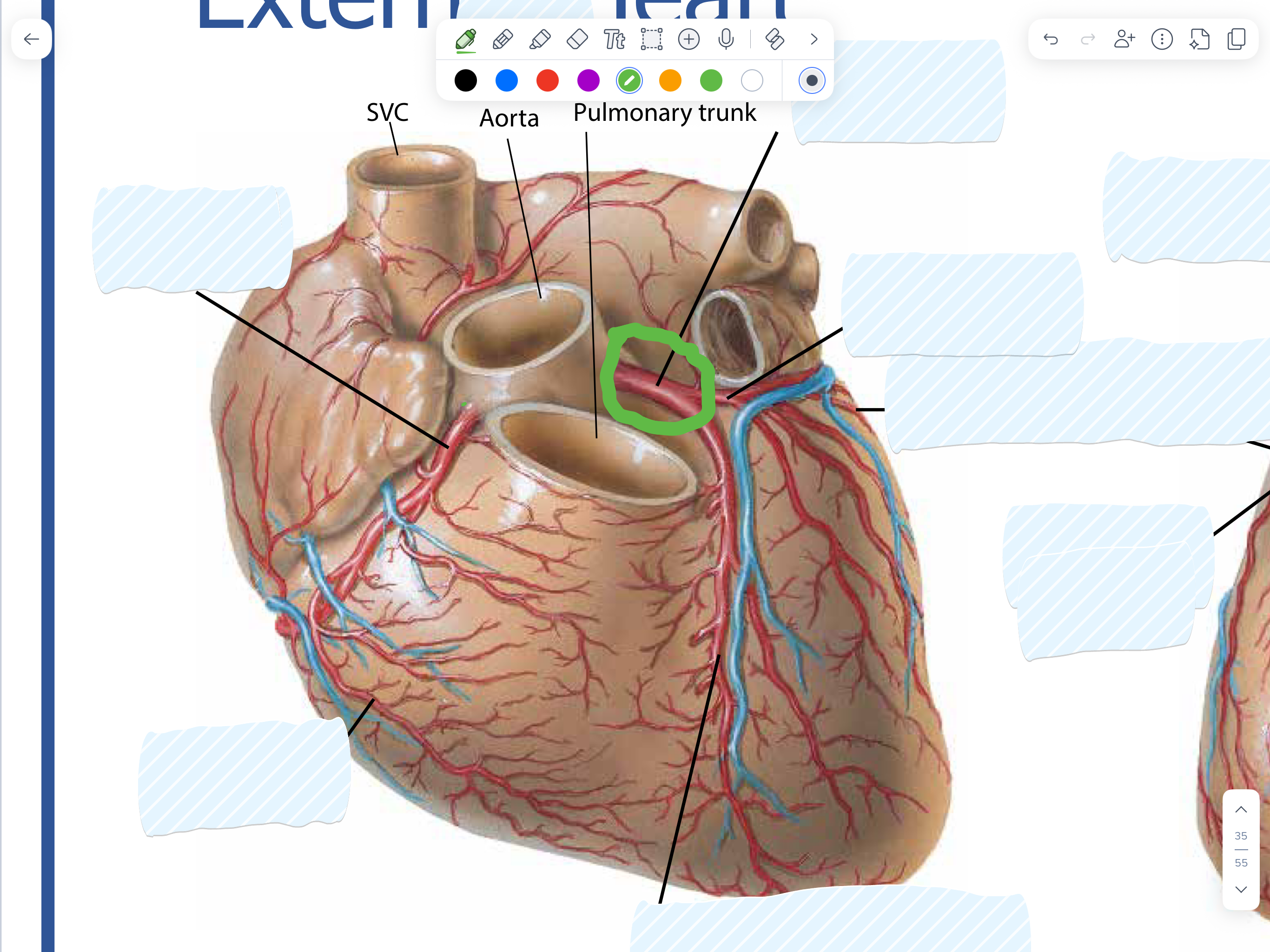 knowt flashcard image