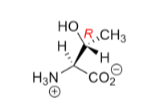 <p>Polar, uncharged R groups</p>