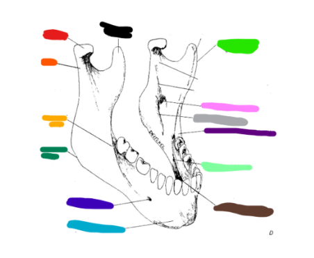 <p>Give dark green.</p>