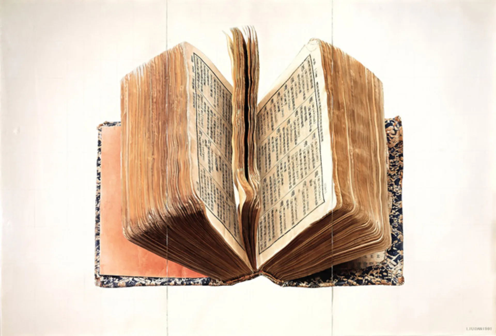 <p>Liu Dan, <em>Dictionary, </em>1991</p>