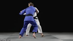 <p>Body drop throw </p>