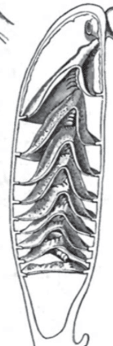 <p>What is this?</p>