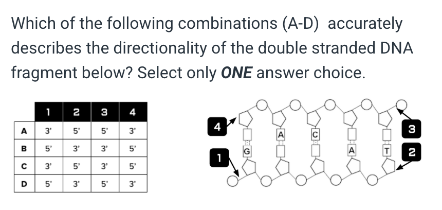 <p>Answer A</p><p></p><p>Answer B</p><p>&nbsp;</p><p>Answer C</p><p>&nbsp;</p><p>Answer D</p>