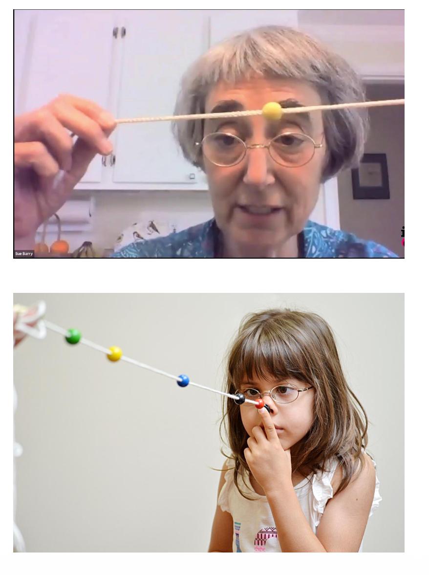 <p><u>Development of Binocular Vision: Correcting Strabismus</u></p><p>Recovering stereo vision – Case Study</p><p class="p2">• Susan Barry was born with strabismus, preventing __.</p><p class="p2">• At age 48, she used __ to improve eye coordination.</p><p class="p2">• Unexpectedly developed __.</p><p class="p2">• Challenges idea that __</p>