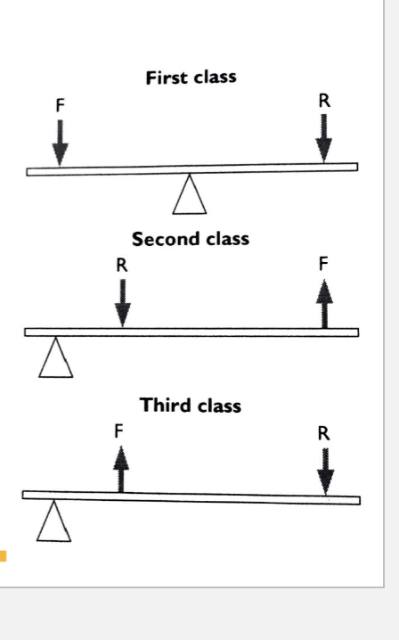 <p>First Class: lever positioned with the applied force and the resistance on opposite sides of the axis (ex; seesaw, nodding head)</p><p>• Second Class: lever positioned with the resistance between the applied force and the axis (ex; wheelbarrow, calf raise)</p><p>• Third Class: lever positioned with the applied force between the axis and the resistance (ex; canoe paddle, muscle bone concentric contractions)</p><p></p>