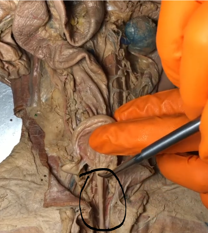 <p>What is this?</p>