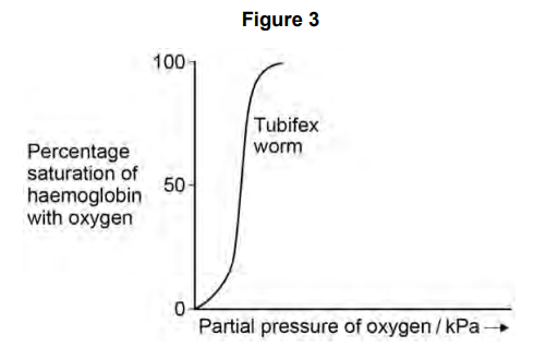 <p>Most species of tubifex worms live at the bottom of ponds, lakes and rivers where the partial pressure of oxygen is low. Pollution of water by sewage can cause the partial pressure of oxygen to fall below 0.2 kPa. </p><p><strong>Figure 3 </strong>shows the oxyhaemoglobin dissociation curve for a species of tubifex worm found in a river polluted with sewage.</p><p>The species of tubifex worm in <strong>Figure 3 </strong>has 50% saturation of their haemoglobin with oxygen at 0.08 kPa. Explain how this enables this species to survive in water polluted with sewage. (2) </p>