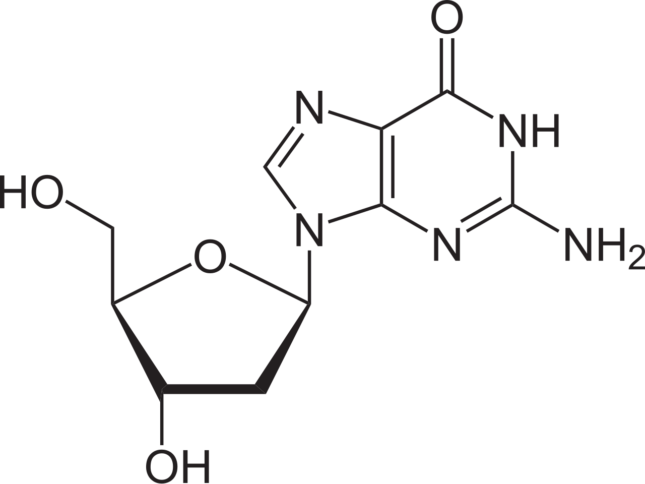 <p>name this nucleoside</p>
