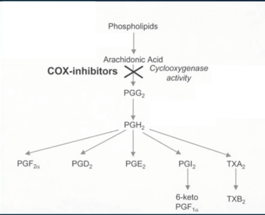 <p>Prevents prostoglandin production, reducing pelvic pain. Unfortunatley, if not selective can target GI prostoglandin production, having negative impacts and if selective, can have cardiovascular risks. </p>