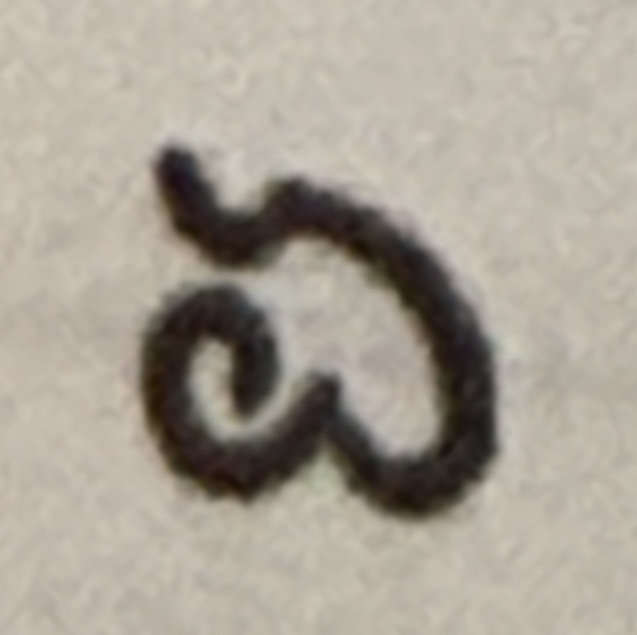 term image
