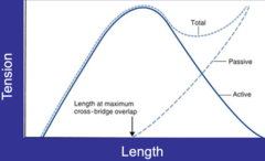 <p>3-5%</p>