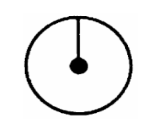 term image