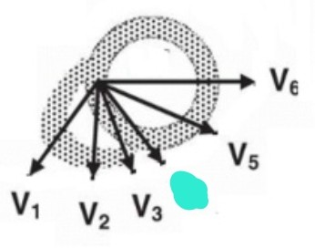 <p>5th intercostal space, midclavicular line 만나는 지점 (apex 위치 같음)</p>