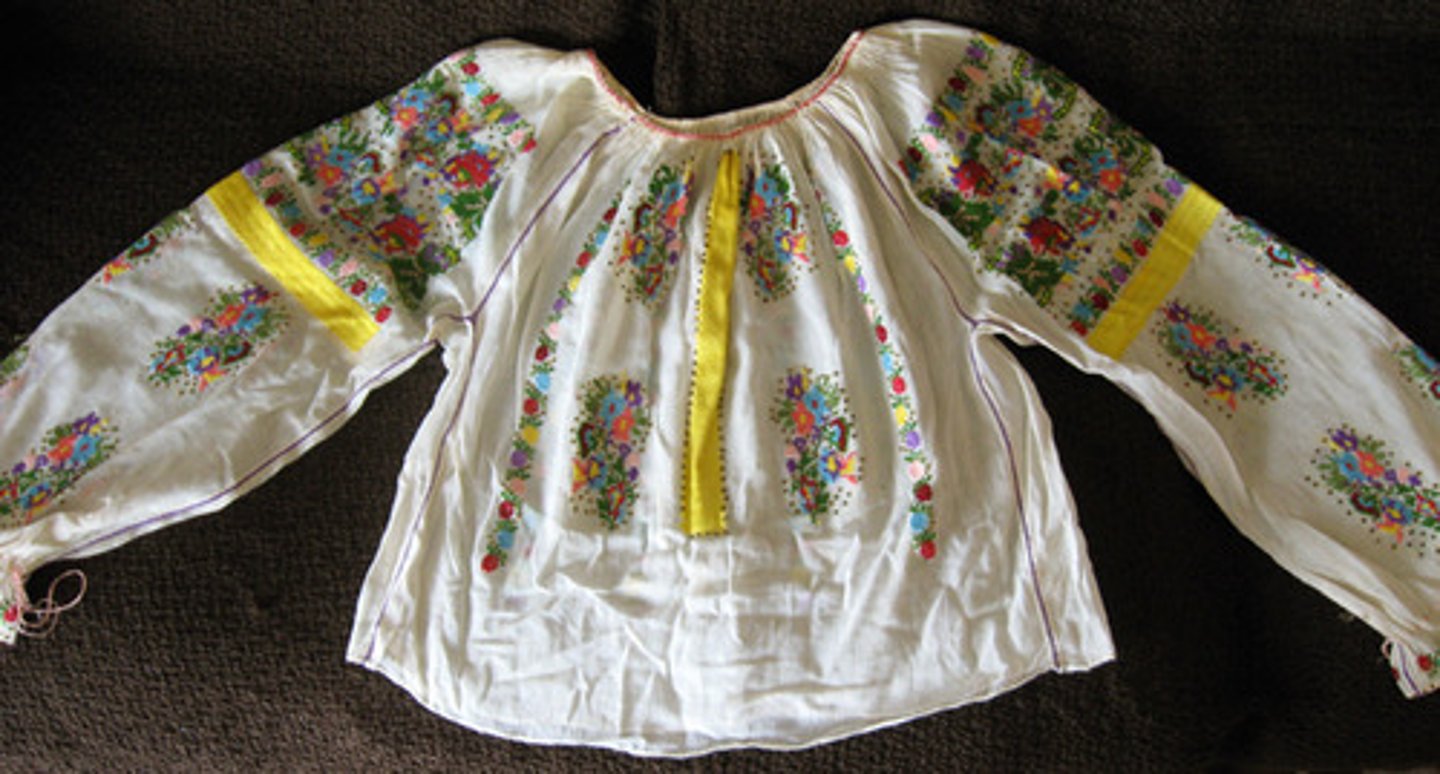 <p>la blusa</p>
