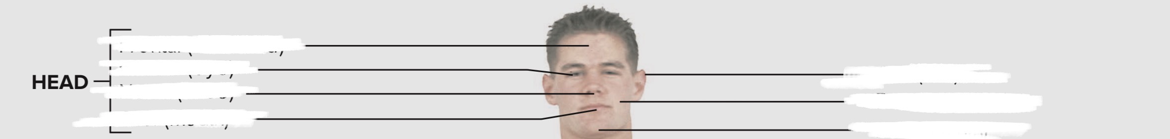 <p>Head</p>