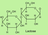 <p>WHat kind of Macromolecule is this?</p>