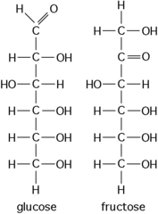<p>isomers</p>