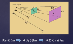 <p>B) Be reduced to one-fourth of the original value</p>