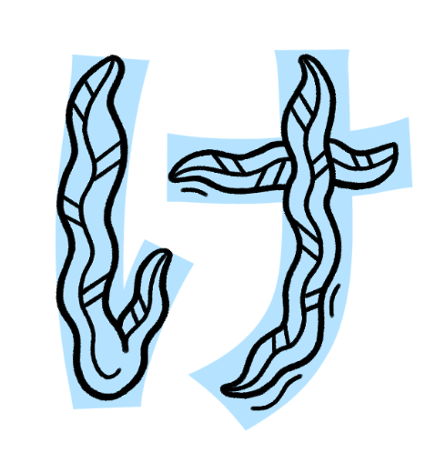 <p>“Ke” (like in “kelp”) → looks like 2 kelp pieces</p>