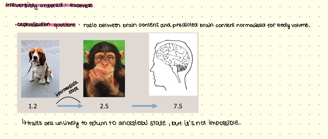 <ul><li><p>Reversible states are less complex and can return back after time in evolution and Irreversible are more complex and cannot return back in evolution. </p></li></ul><p></p>