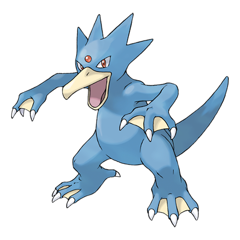 <p>What type is Golduck?</p>