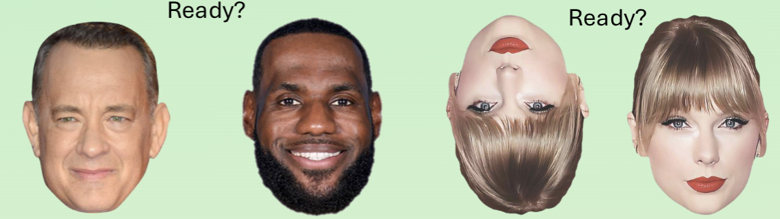 <p>The Face Inversion Effect:</p><ul><li><p>Is a phenomenon in which identifying upside-down faces compared to upright faces is much more difficult and slower than doing the same for non-facial objects.</p></li></ul><p></p>