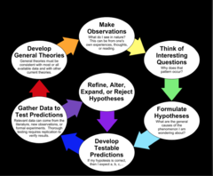 <p>1. Problem</p><p>2. Hypothesis</p><p>3. Procedure/ experimentation </p><p>4. Analyze data and form conclusion</p><p>5. Communicate Results</p>