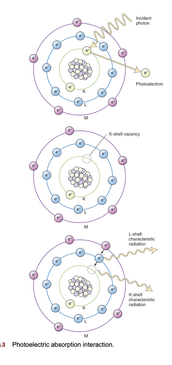 <p>Photoelectric absorption ? </p>