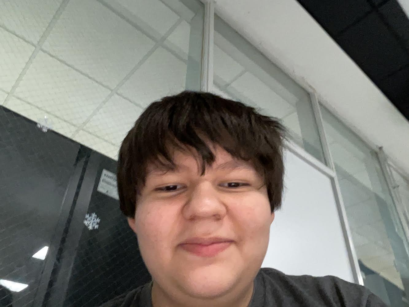 <p>Bid Rent Theory</p>