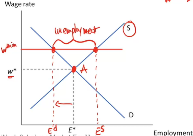 <p>According to this model, the minimum wage would cause unemployment; however, this is unrealistic, and it doesn’t really occur in real life.</p>