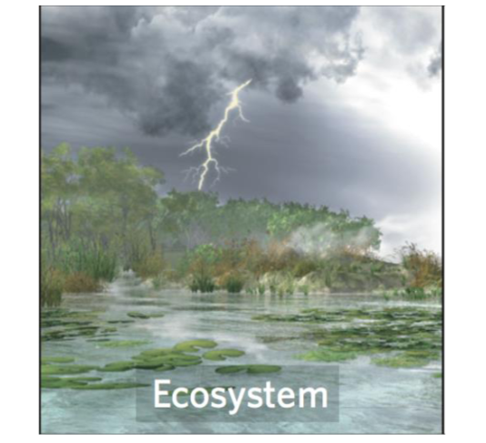 <p><span>One or more communities of living</span><br><span>organisms interacting with their nonliving physical and</span><br><span>chemical environments</span></p>