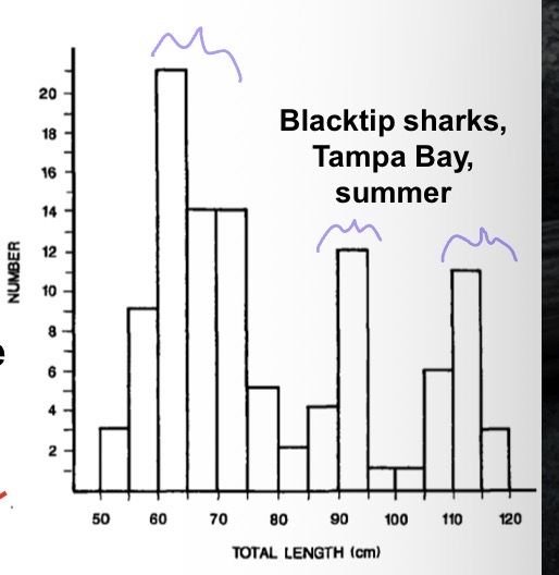 <p>What do you notice about this figure?</p>