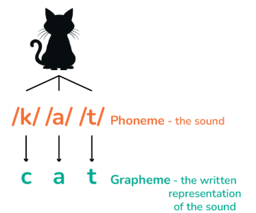 <p>the smallest individual sounds in a word</p><p>Example</p><p>The word “bit” has three phonemes – b – i – t.</p>