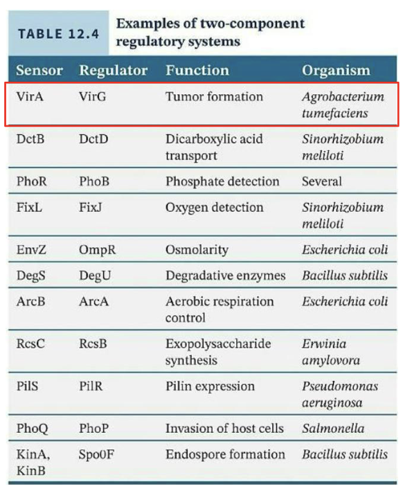<p>Such systems can use one protein as a <strong><em>sensor</em></strong> and another to control <strong><em>transcription</em></strong>.</p><ul><li><p>This allows for response to changes in the environment.</p></li><li><p><strong><em>Signal transduction</em></strong> induced inside the cell alters it to respond appropriately.</p></li><li><p>These two-component regulatory systems are <strong><em>the most common regulatory systems in bacteria </em></strong></p></li></ul><p></p>