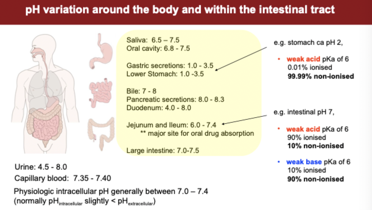 <p>pH variation around the body and within the intestinal tract</p>