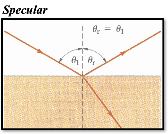 <p>smooth surface reflects at equal but opposite angle</p>