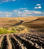 <p>New Stone Age; learned how to FARM (Agricultural Revolution); domesticate plants and animals</p>